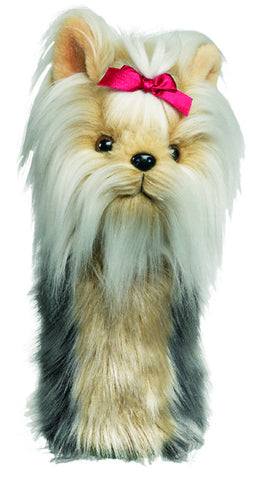 Daphne's Headcover Yorkshire Terrier